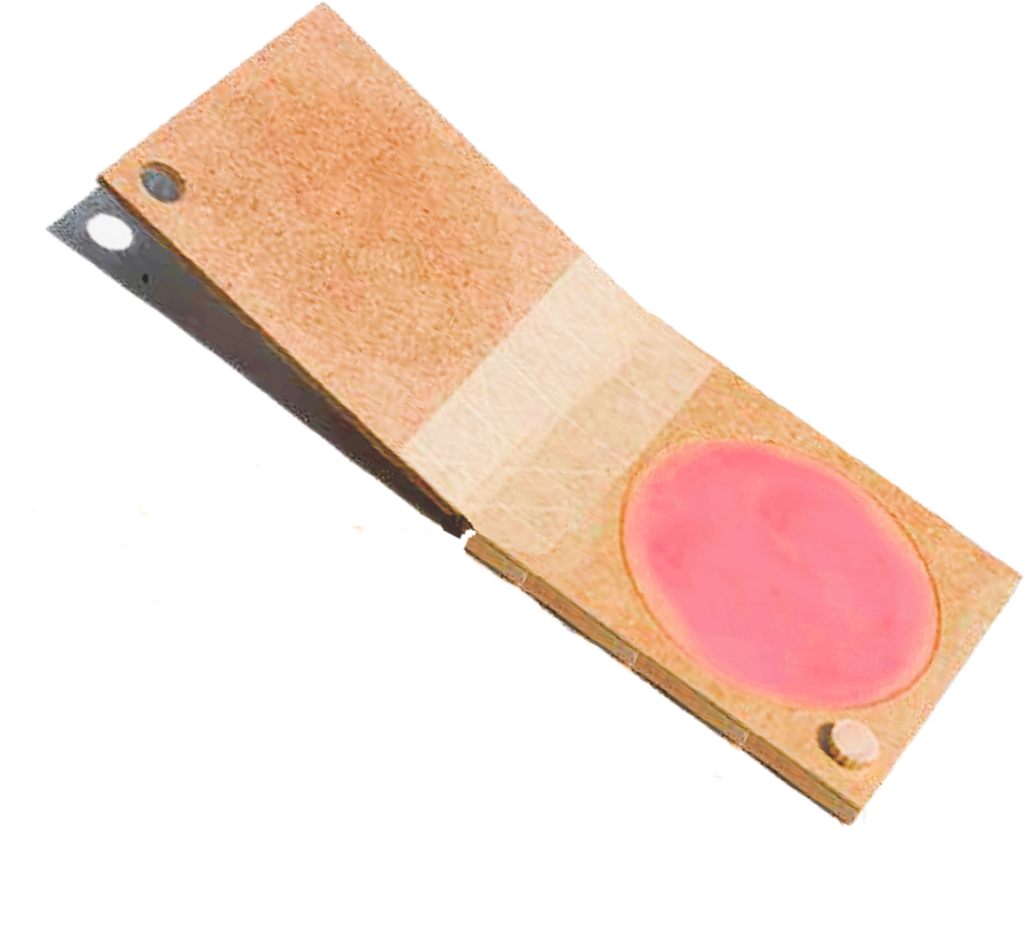 RUBOR DE PETALOS DE ROSAS