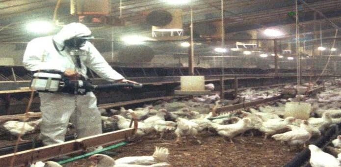 TNK FOG Repelente Orgánico para Termonebulización