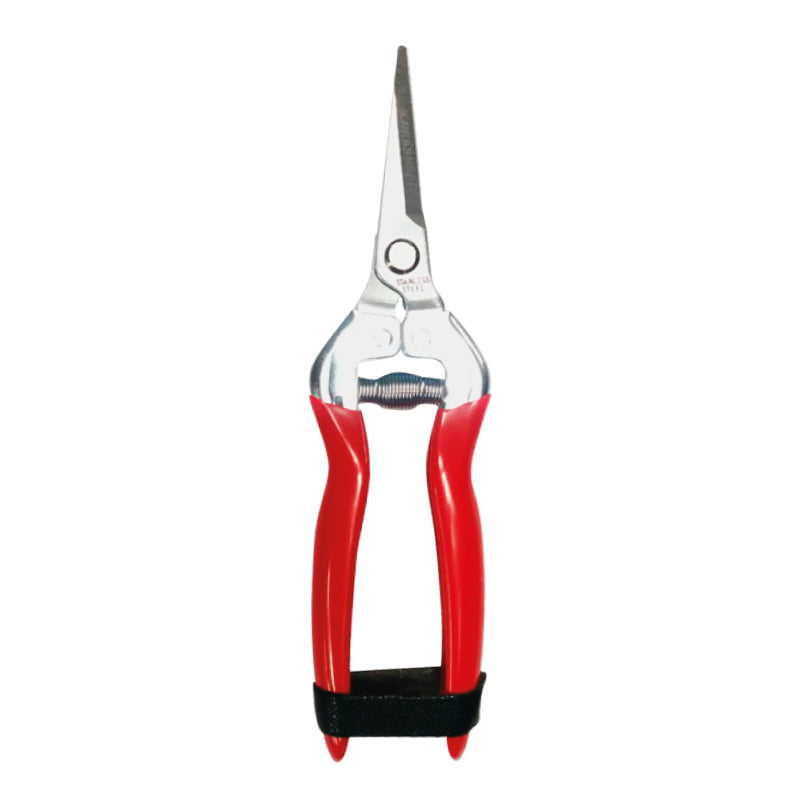 Tijera de punta con hoja de acero inoxidable Kawashima 803BS