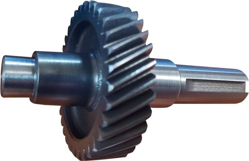 Engranaje Parazzini 13004Z7901200000