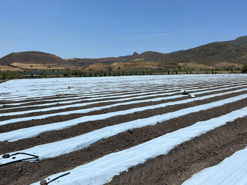 Acolchado blanco negro ancho 1.20 mts x 915 mts de largo calibre 150 Liso Agrobolder AC120-915-150BN