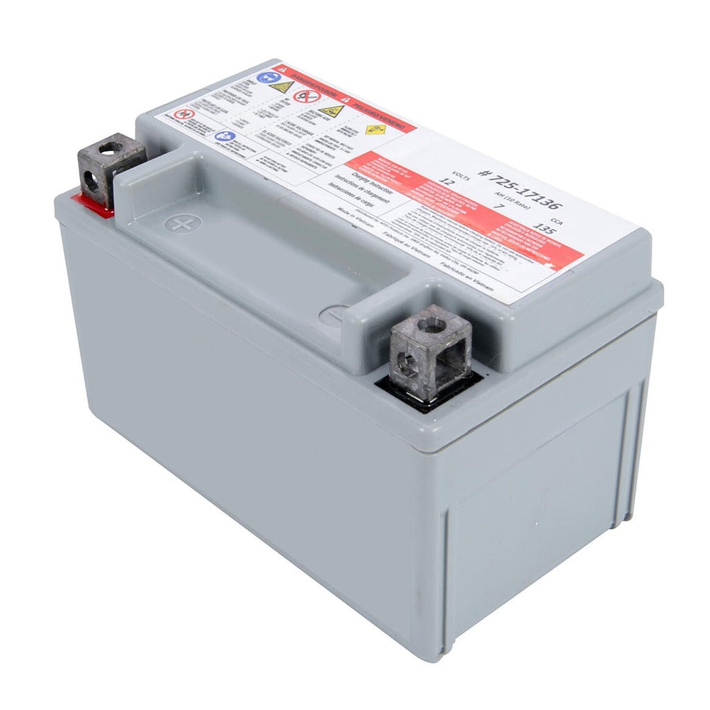 Bateria 7Ahr MTD 725P17136