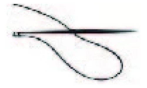 Juego de microaspersor y estaca para soporte de 50 cm - bolsa con 10 piezas Parazzini SMS0340