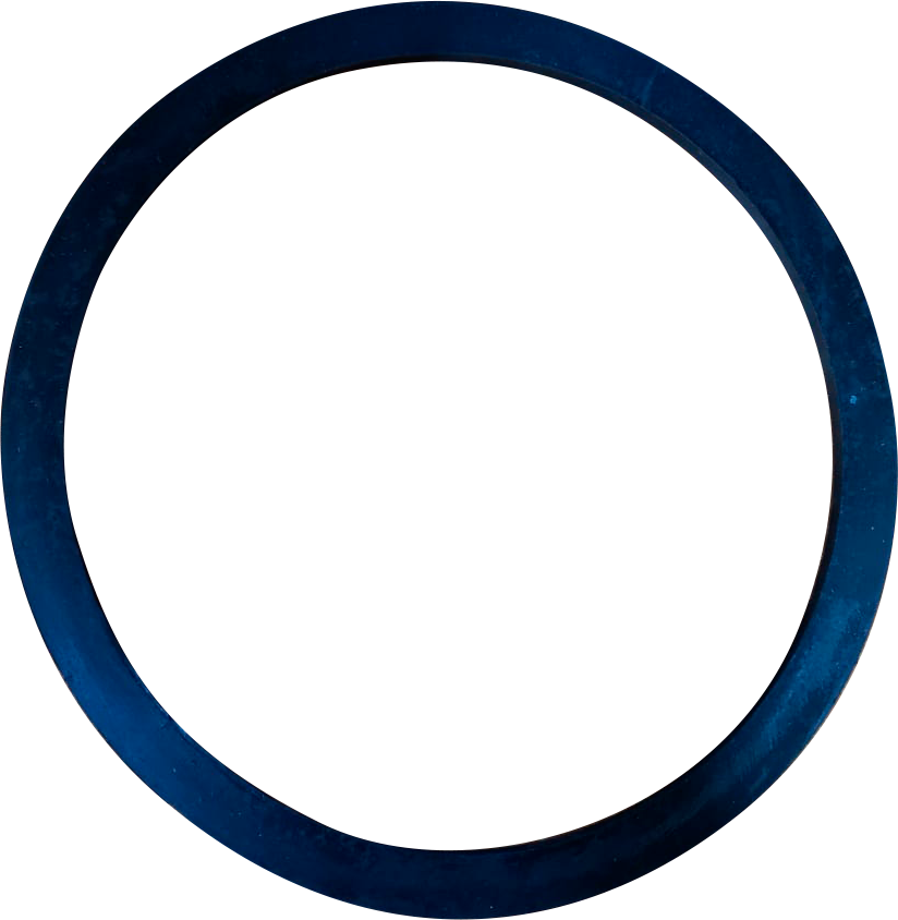 Empaque brida entrada Parazzini 70131V2801100000