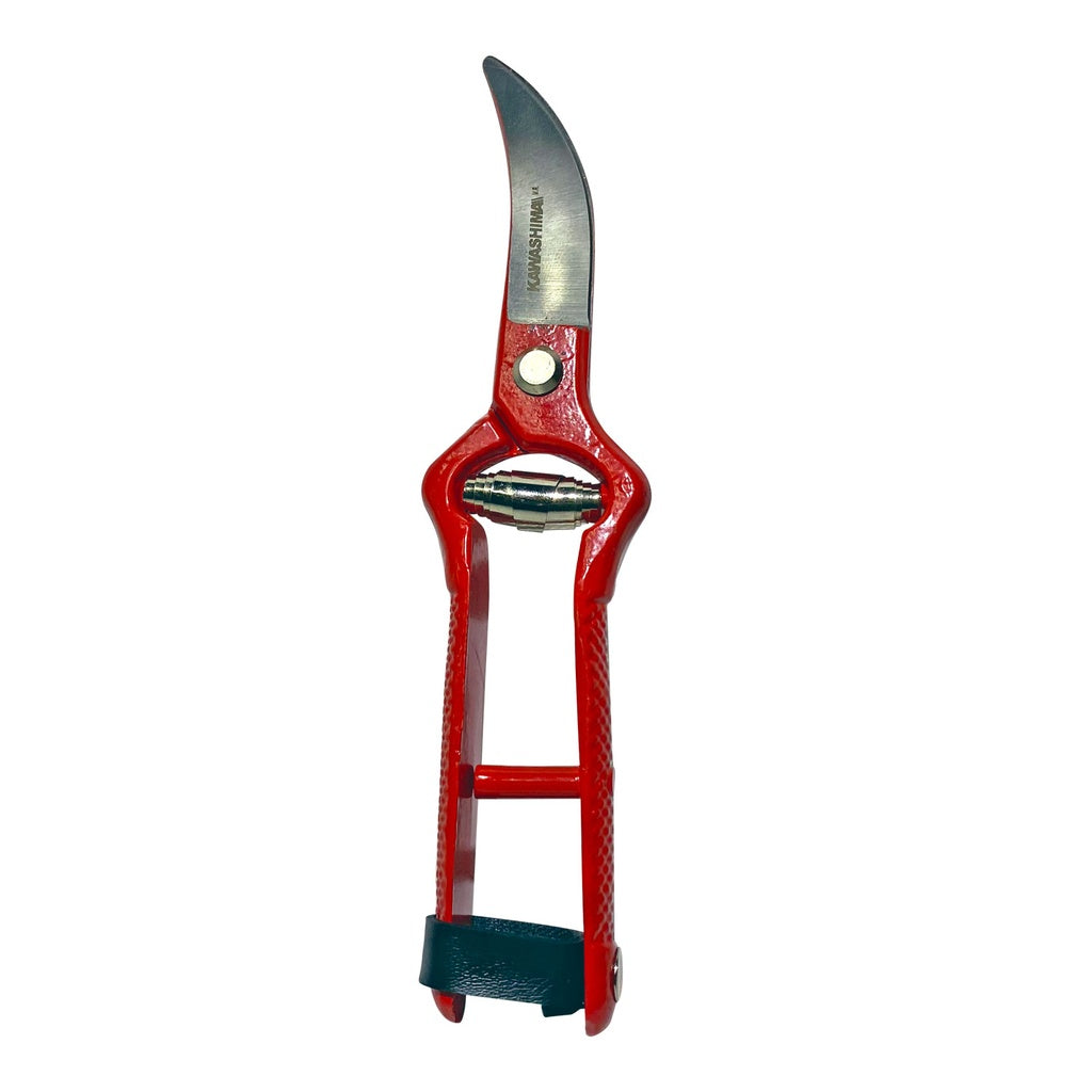 Tijera para poda de ajos 7 1/2 pulg con capacidad decorte de 12mm Kawashima PAL-AJO