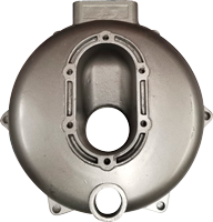 Cuerpo de bomba Parazzini 70105VSS01100000