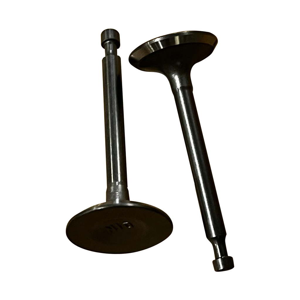 Valvula de admision Parazzini 03.02.12111-17201-00