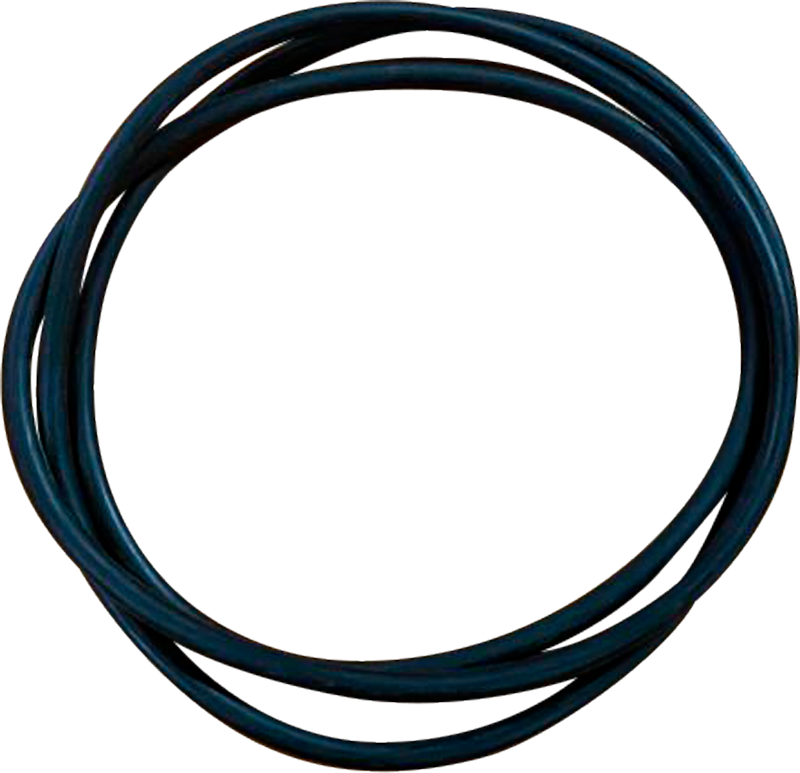 Empaque bomba Parazzini 1.03.09.11.0095