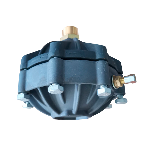 Kit diafragma de aire Parazzini GMB30.01.01/48-53