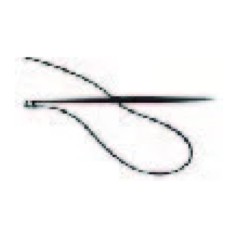 Juego de microaspersor y estaca para soporte de 30 cm - caja con 30 piezas Parazzini SMS0330C