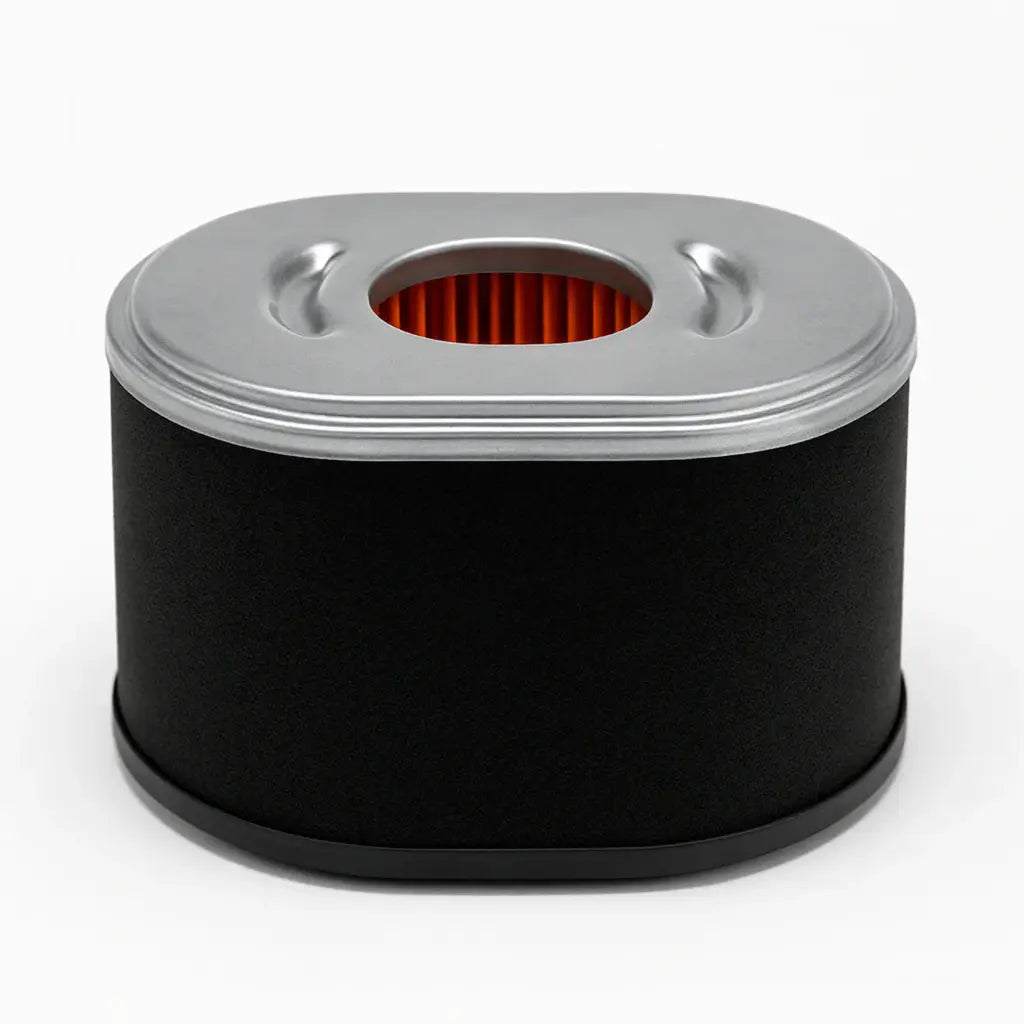 Filtro de aire Parazzini 17150Z0101100000 - Bioaplicaciones