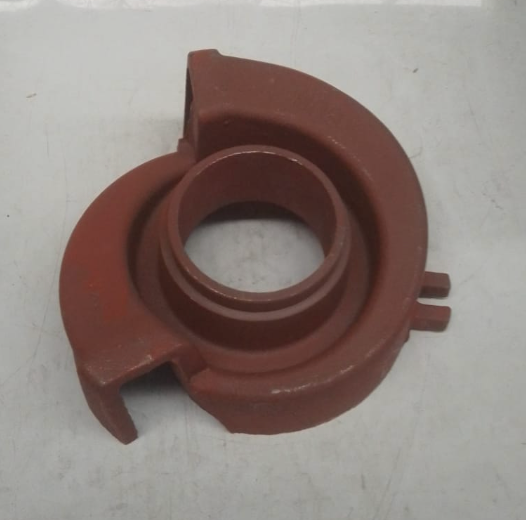 Caja caracol Parazzini 1.03.09.05.0003