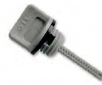 Tapon aceite compatible Honda Compatible Honda 01-242