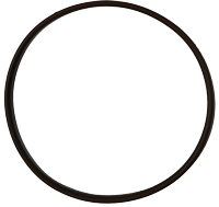 O ring G-100 Parazzini 72FW-B24