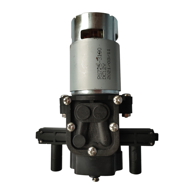 Motor con bomba Parazzini DAP-05