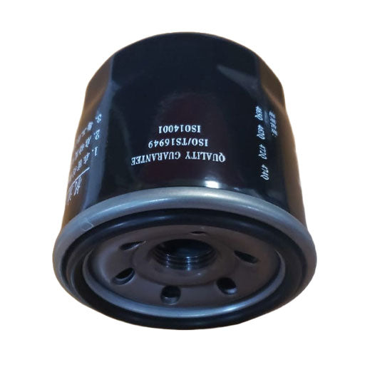 Filtro aceite Parazzini 15220Z12021000A0