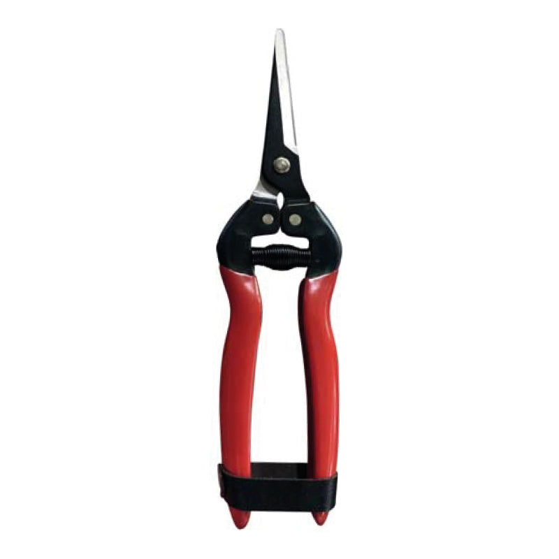 Tijera con hoja de acero al carbono Kawashima 803B