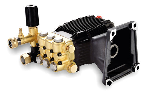 Bomba hidrolavadora 13 hp Parazzini Pro BPP13