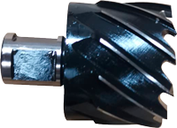 Broca anular 1-13/1 Milwaukee MW49-59-1812