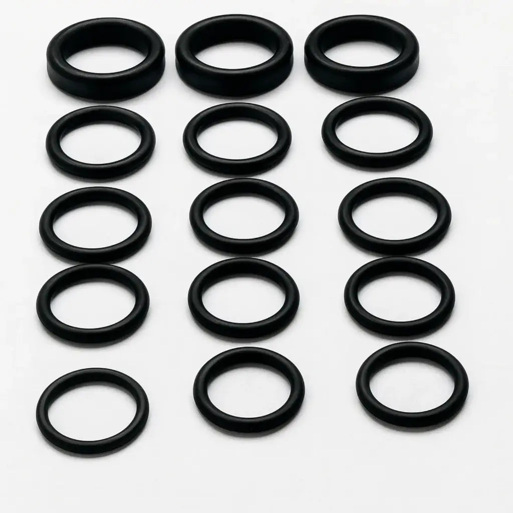 Empaque bomba 10 piezas Parazzini 25-78