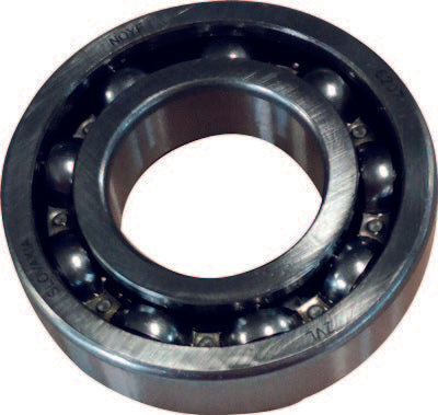 Rodamiento 35 x 100 x 25 Bertolini 812876002