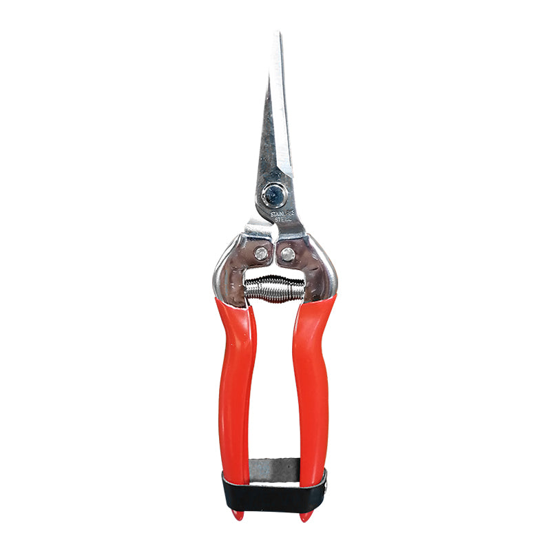 La tipo 21 tijera punta con doblez sin sierra Kawashima 803AS