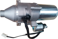 Marcha Parazzini 09100Z1701100001