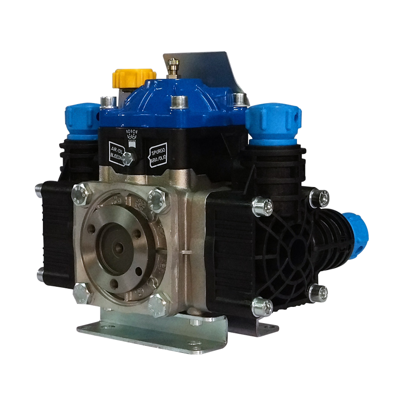 Bomba Poly 2025 VF Bertolini 948613973