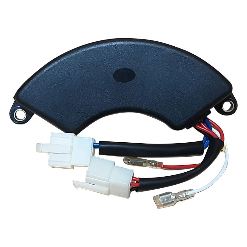 Regulador de Voltaje Parazzini 30060Y2406100000