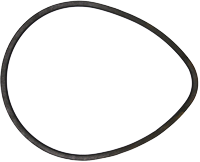 Banda Kawashima AAAA0393