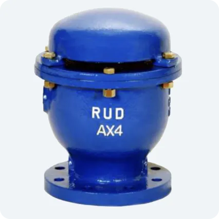 Válvula de admisión y expulsión de aire de hierro dúctil 250 CWP Marca RUD FIG. DAX de 1/2"