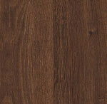 ESTRAD SOUND - Bioaplicaciones