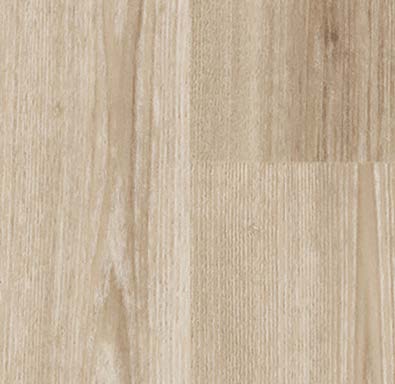 ESTRAD SOUND - Bioaplicaciones