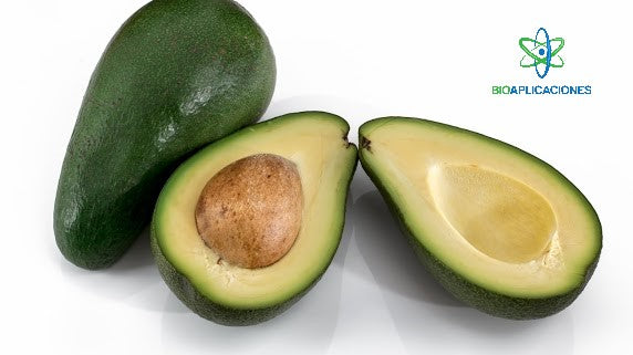 ANTIOXIDANTE LACTOPREV AX - Bioaplicaciones