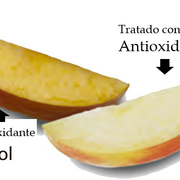 Antioxidante Lactoprev AX - Bioaplicaciones
