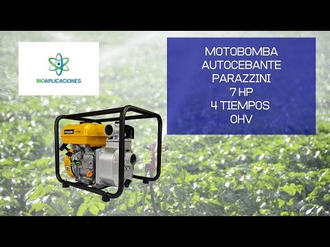 Motobomba 7 hp 4 tiempos ohv autocebante  2 pulg Parazzini BP720