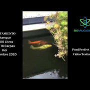 POND PERFECT 4 IN 1 - Solución Biológica para Biorremediación Lagos y Estanques